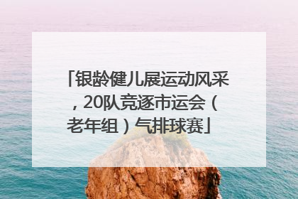 银龄健儿展运动风采，20队竞逐市运会（老年组）气排球赛