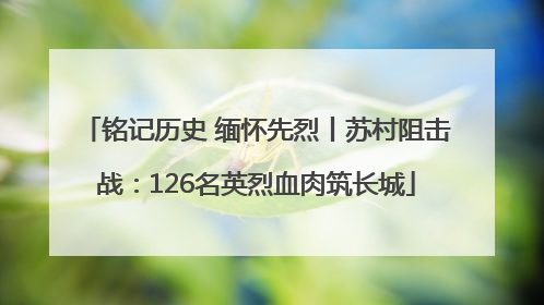 铭记历史 缅怀先烈丨苏村阻击战：126名英烈血肉筑长城