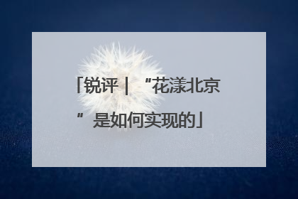 锐评｜“花漾北京”是如何实现的