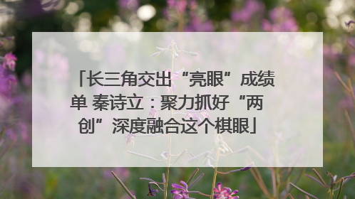 长三角交出“亮眼”成绩单 秦诗立：聚力抓好“两创”深度融合这个棋眼