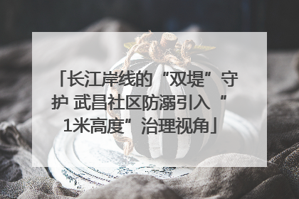 长江岸线的“双堤”守护 武昌社区防溺引入“1米高度”治理视角