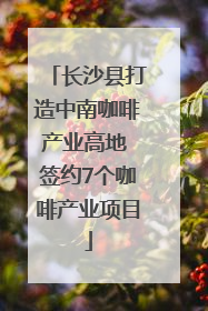 长沙县打造中南咖啡产业高地 签约7个咖啡产业项目