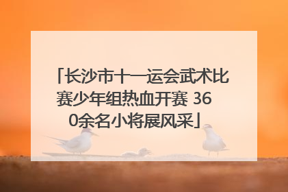 长沙市十一运会武术比赛少年组热血开赛 360余名小将展风采