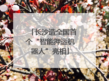 长沙造全国首个“智能押运机器人”亮相