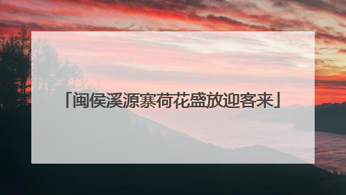闽侯溪源寨荷花盛放迎客来