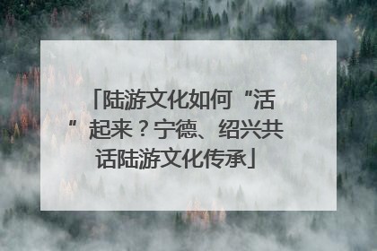 陆游文化如何“活 ”起来？宁德、绍兴共话陆游文化传承