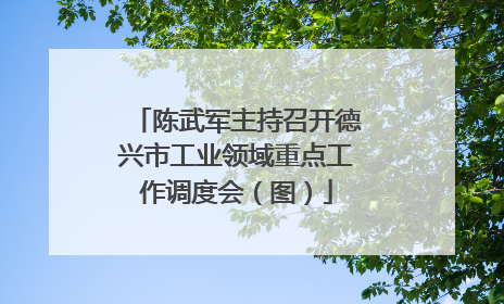 陈武军主持召开德兴市工业领域重点工作调度会（图）