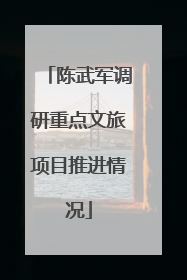 陈武军调研重点文旅项目推进情况