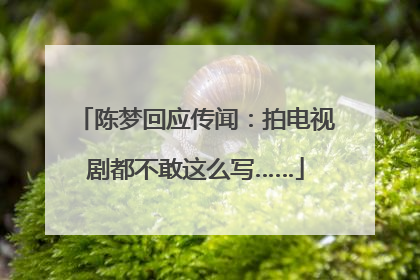 陈梦回应传闻：拍电视剧都不敢这么写……