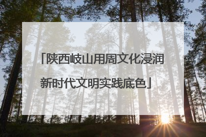 陕西岐山用周文化浸润新时代文明实践底色
