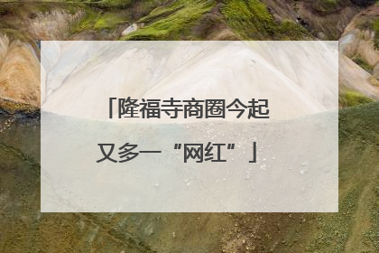 隆福寺商圈今起又多一“网红”