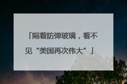 隔着防弹玻璃，看不见“美国再次伟大”