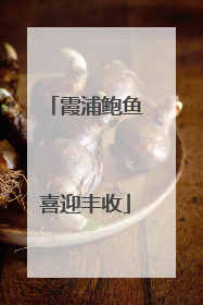 霞浦鲍鱼喜迎丰收