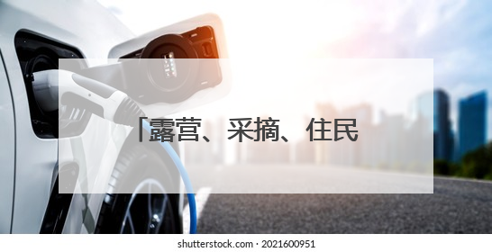 露营、采摘、住民宿……端午假期市民热衷“奔县游”