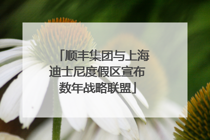 顺丰集团与上海迪士尼度假区宣布数年战略联盟