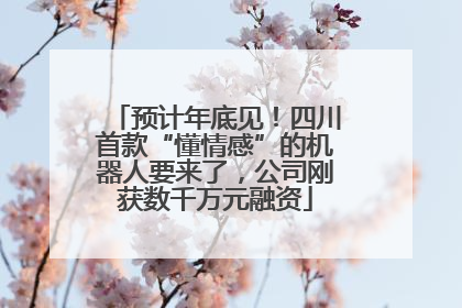 预计年底见！四川首款“懂情感”的机器人要来了，公司刚获数千万元融资
