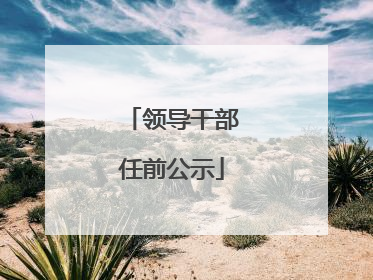 领导干部任前公示