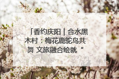 香约庆阳｜合水黑木村：梅花鹿鸵鸟共舞 文旅融合绘就“诗与远方”