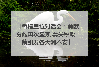 香格里拉对话会：美欧分歧再次显现 美关税政策引发各大洲不安
