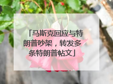 马斯克回应与特朗普吵架，转发多条特朗普帖文