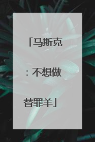 马斯克：不想做替罪羊