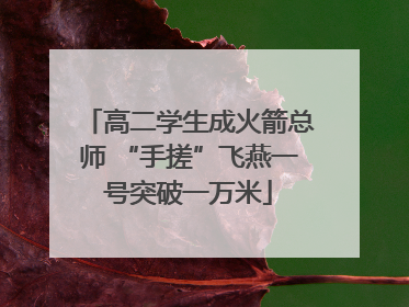 高二学生成火箭总师 “手搓”飞燕一号突破一万米