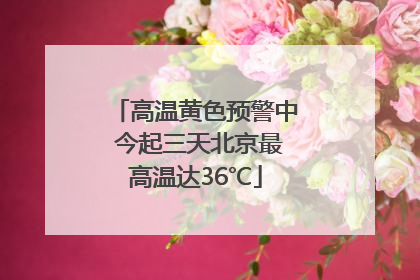 高温黄色预警中 今起三天北京最高温达36℃