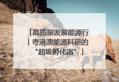 高质量发展能源行丨粤港澳能源科研的“超级孵化器”