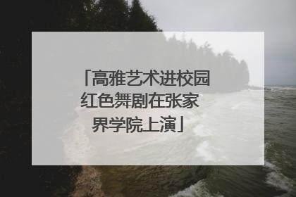 高雅艺术进校园 红色舞剧在张家界学院上演
