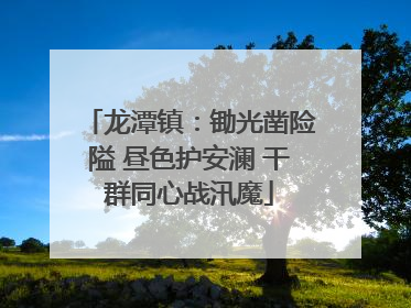 龙潭镇：锄光凿险隘 昼色护安澜 干群同心战汛魔