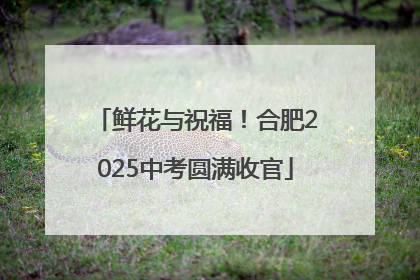 鲜花与祝福！合肥2025中考圆满收官
