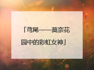 鸢尾——莫奈花园中的彩虹女神