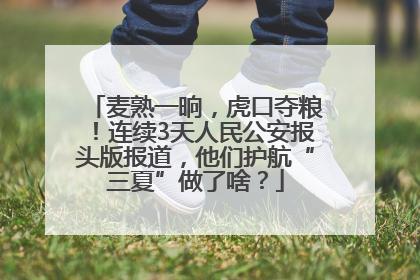 麦熟一晌，虎口夺粮！连续3天人民公安报头版报道，他们护航“三夏”做了啥？