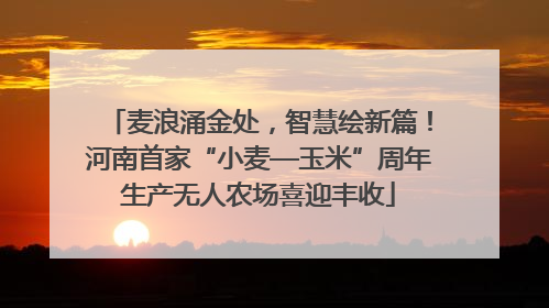 麦浪涌金处，智慧绘新篇！河南首家“小麦—玉米”周年生产无人农场喜迎丰收