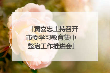 黄喜忠主持召开市委学习教育集中整治工作推进会