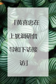 黄喜忠在上犹调研督导和下访接访
