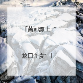 黄河滩上“龙口夺食”