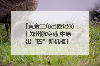 黄金三角出圈记③丨郑州航空港 中原出“圈”新机枢