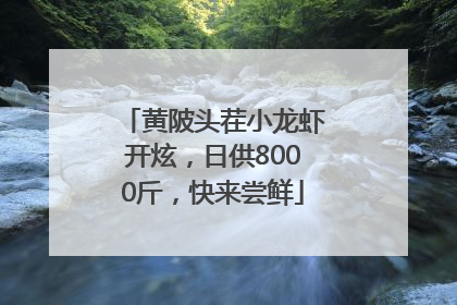 黄陂头茬小龙虾开炫，日供8000斤，快来尝鲜
