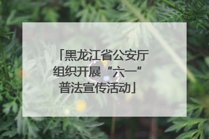 黑龙江省公安厅组织开展“六一”普法宣传活动