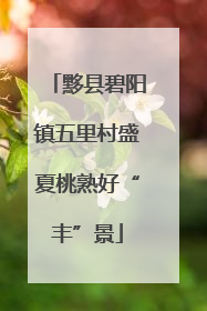 黟县碧阳镇五里村盛夏桃熟好“丰”景