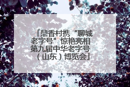鼎香村携“聊城老字号”惊艳亮相第九届中华老字号（山东）博览会