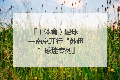 （体育）足球——南京开行“苏超”球迷专列