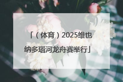 （体育）2025维也纳多瑙河龙舟赛举行