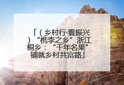 （乡村行·看振兴）“槜李之乡”浙江桐乡：“千年名果”铺就乡村共富路