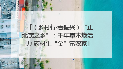 （乡村行·看振兴）“正北芪之乡”：千年草本焕活力 药材生“金”富农家