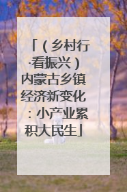 （乡村行·看振兴）内蒙古乡镇经济新变化：小产业累积大民生