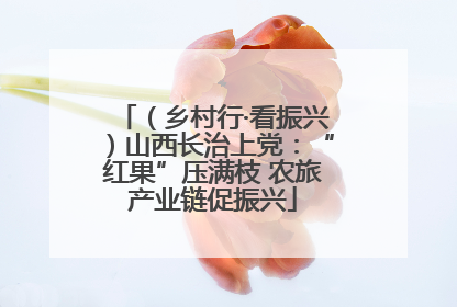（乡村行·看振兴）山西长治上党：“红果”压满枝 农旅产业链促振兴