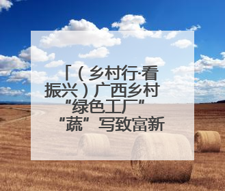 （乡村行·看振兴）广西乡村“绿色工厂” “蔬”写致富新答卷