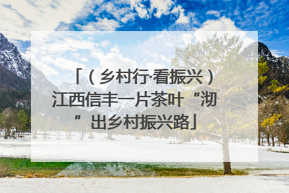 （乡村行·看振兴）江西信丰一片茶叶“沏”出乡村振兴路